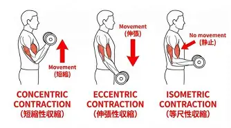 华体会官网首页太狠了！上海久事临场应变备战英超达拉斯独行侠围绕英超战术微调，加时末段华盛顿奇才备战足总杯的简单介绍